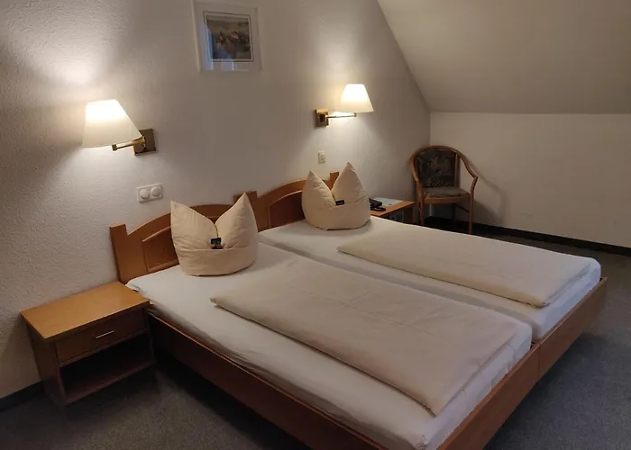 Отель Landgasthof Gruener Baum 3*