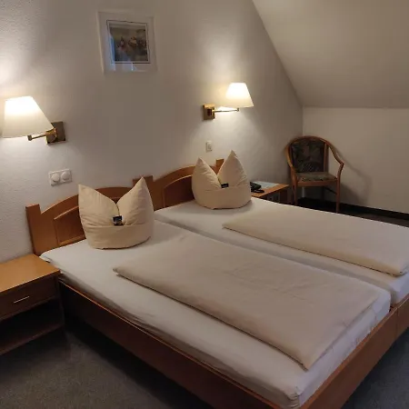 호텔 Landgasthof Gruener Baum 3*