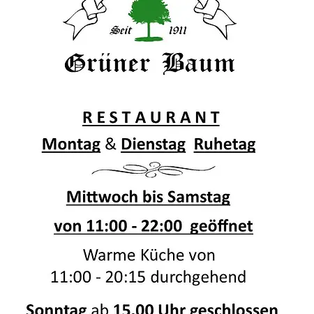 Hotel Landgasthof Gruener Baum 3*